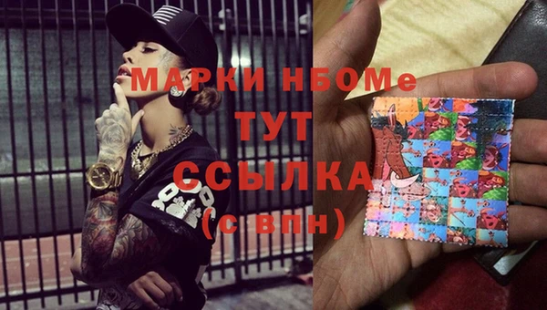 хмурый Белокуриха