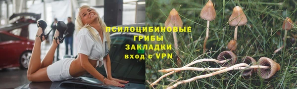 круглые Арсеньев